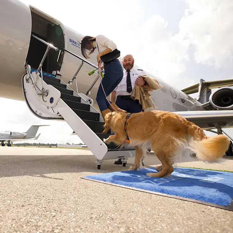 A woman boards a private jet with a pilot carrying packages, while a golden retriever walks beside them on a blue carpet during the Flight Experience for Dogs. The sky is partly cloudy.