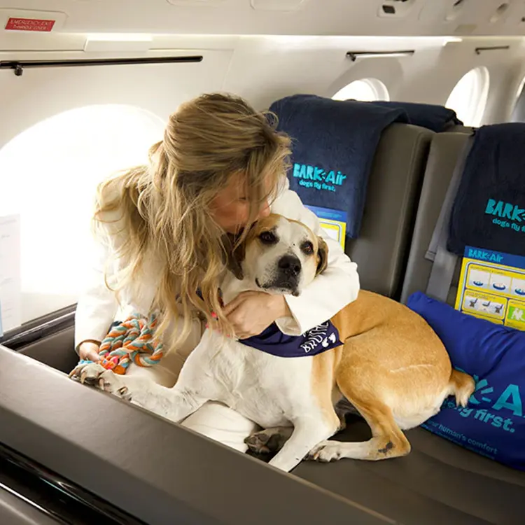 A woman lovingly embraces a brown and white dog on an airplane seat, where the dog sports a navy bandana. The cabin, themed with BARK Air branding, features seats draped in blue and gray blankets. Experience it all with our Flight Experience for Dogs.