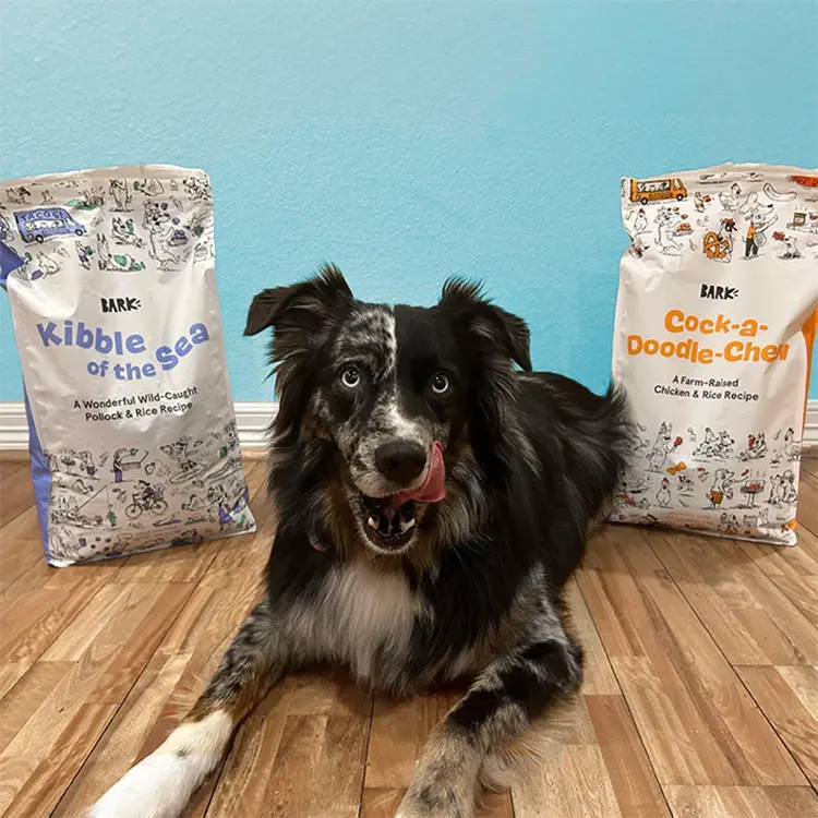 A friendly black and white dog with one blue eye sits on a wooden floor, licking its nose. Behind the dog is a BarkBox Monthly Box of Joy against a light blue wall.