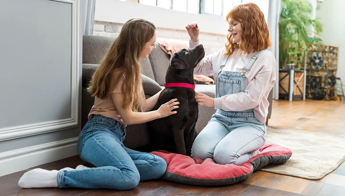 Two women sitting on the floor in a living room with a black dog between them. One woman pets the dog while the other holds a treat above its head. The dog sits on a red and black cushion. Large windows and plants are visible in the background.