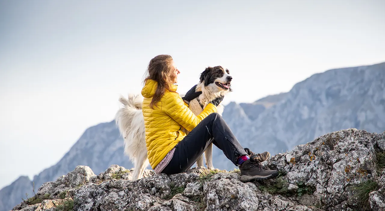A person in a yellow jacket sits on a rocky mountain ledge with a black and white dog. They are both looking into the distance. The background features a clear sky and distant mountains.