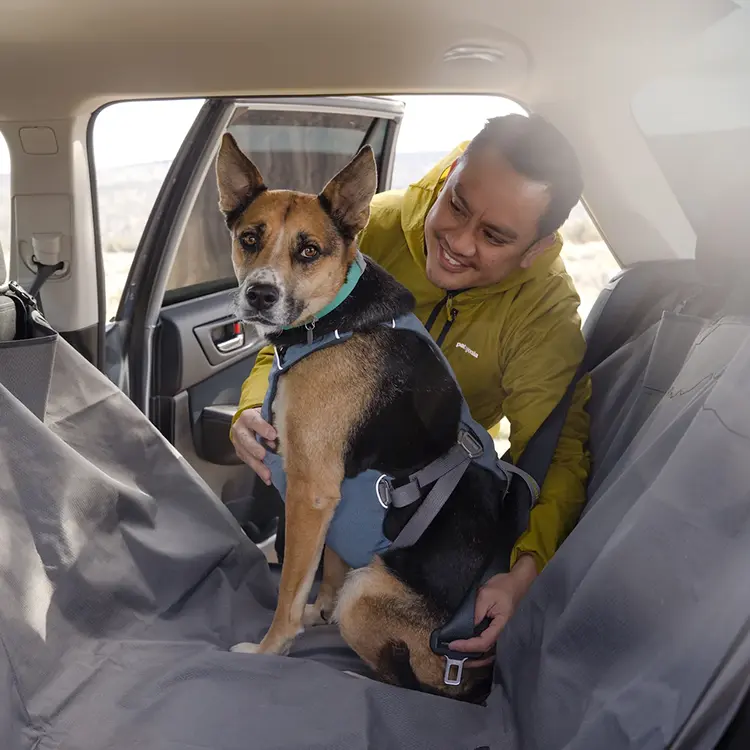 A person in a yellow jacket secures a Dog Car Harness on a brown and black dog sitting calmly on a seat cover in the cars back seat. The open car door reveals an outdoor backdrop.