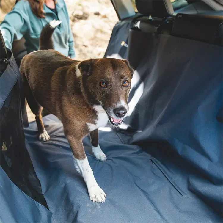 A brown and white dog sits on a Dog Seat Cover in the cars backseat, looking at the camera with its mouth slightly open. A person in a green jacket is partially visible in the drivers seat area.
