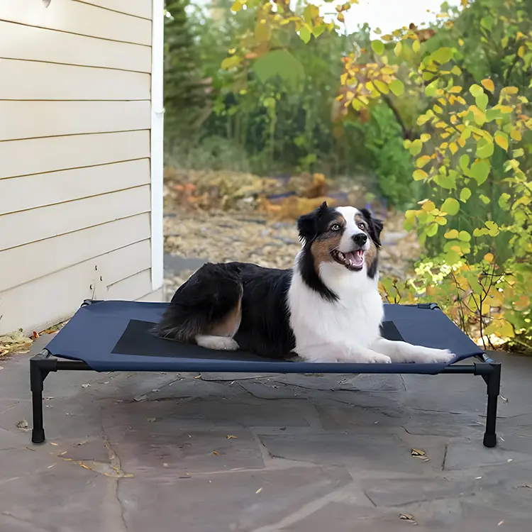 A black, white, and brown dog lounges contentedly on a blue-raised dog tent with sun protection on a stone patio. Green trees and bushes in the background create a serene outdoor garden setting.