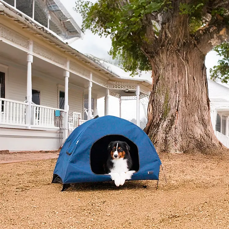 A dog peeks out from inside a small blue Dog tent with sun protection on a dirt surface beside a large tree, with an overcast sky and a white building featuring a covered porch in the background.