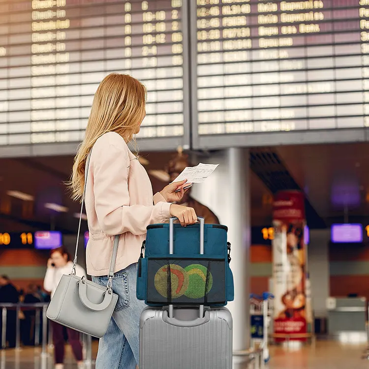 A woman with long blonde hair stands at an airport, holding a boarding pass. She wears a pink jacket and carries a gray purse. Her suitcase and Dog Travel Bag with telescopic handle are in front of her. A flight information board is in the background.
