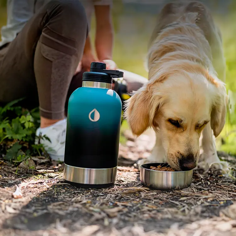 A golden retriever laps water from an Insulated Dog Water Bottle on the ground. Nearby, a casually dressed person sits partially visible in an outdoor setting with lush greenery.