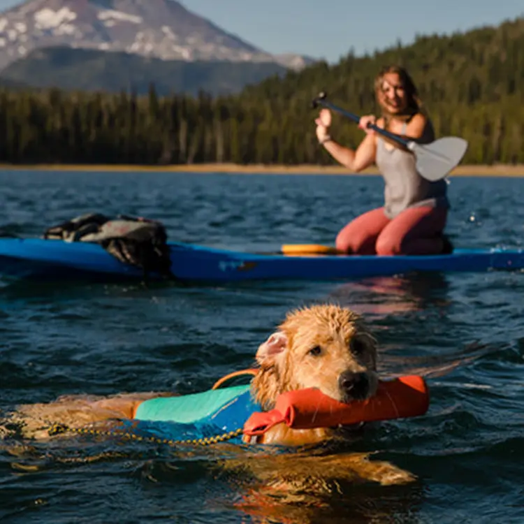 A golden retriever with a Dog Life Jacket swims in a lake, holding a toy. In the background, a woman paddles on a kayak against forested mountains under a clear sky.