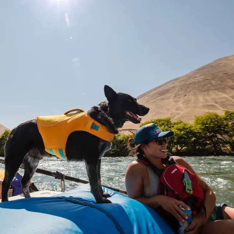 A dog in a Dog Life Jacket stands on a raft, gazing ahead. Next to it, a person with a cap and sunglasses smiles, sipping from a can. They float on a river surrounded by hills and trees beneath the sunny sky.