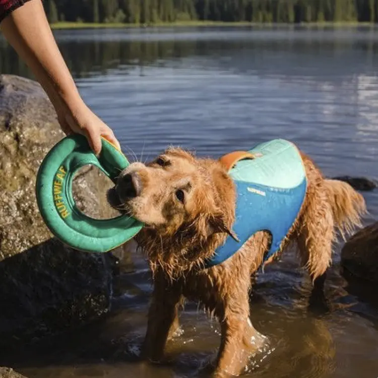 A wet Golden Retriever in a Dog Life Jacket bites a green Ruffwear frisbee beside a calm lake, surrounded by lush forest and rocky terrain. A persons hand holds the frisbee.