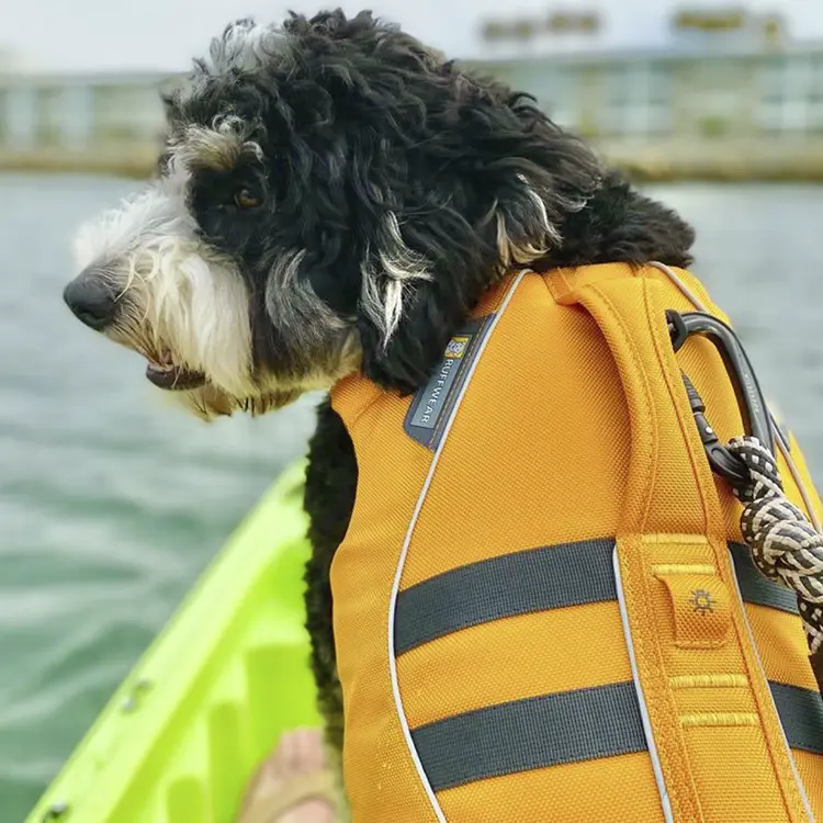 A fluffy black and white dog, wearing the Dog Life Jacket in orange, sits on a green kayak in the water. Its head is turned to the side, with buildings faintly visible across the water.