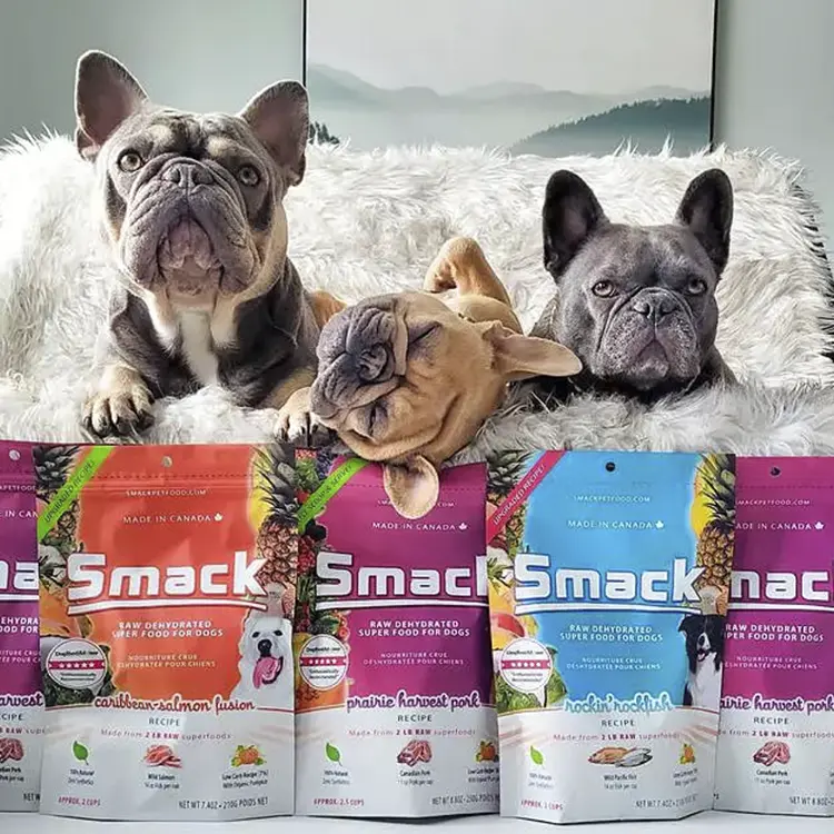 Three French Bulldogs lounge on a fluffy white bed, encircled by vibrant Smack Pet Food bags. The dogs appear at ease, with one playfully covering its face with its paw.