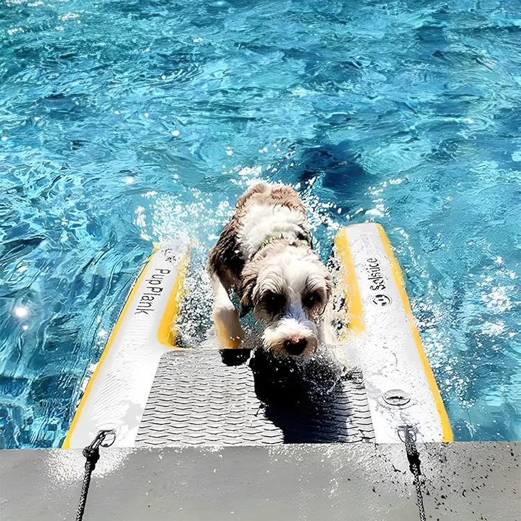 A small dog climbs a Dog Water Ramp floating in a bright blue pool, water splashing. The sun creates sparkling effects on the water while logos and text adorn the ramps sides.