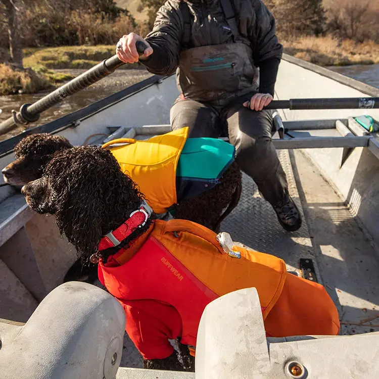 Two dogs with curly black fur, wearing life jackets and Dog Waterproof Collars, sit in a boat as a person in outdoor gear rows along a calm, natural waterway.