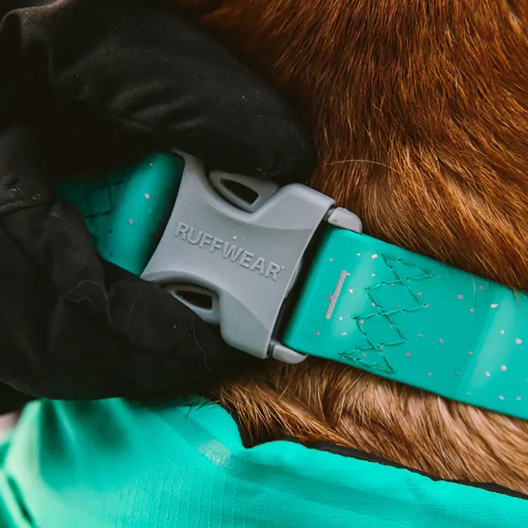Gloved hands hold the Dog Waterproof Collar in turquoise, featuring a gray metal buckle and tag with a dog silhouette, set against a blurred background.