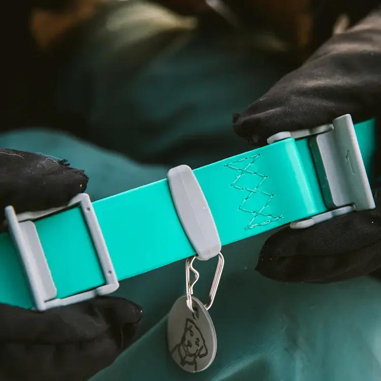 Gloved hands hold the Dog Waterproof Collar in turquoise, featuring a gray metal buckle and tag with a dog silhouette, set against a blurred background.