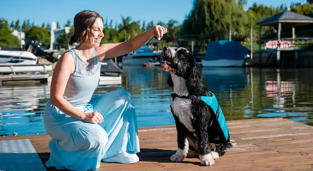 A woman kneels on a dock beside a lake, wearing a light blue outfit. She holds up a treat for a large black and white dog with a life jacket. Boats and trees are visible in the background under a clear blue sky.