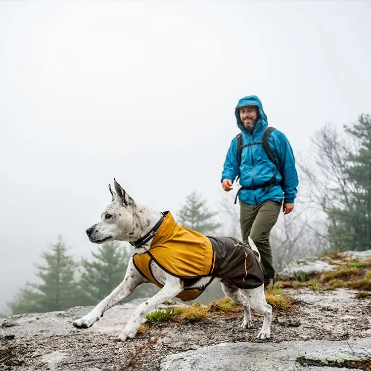 Dressed in a blue rain jacket, a hiker navigates a misty trail beside their energetic dog wearing the Dog Raincoat in yellow and brown. Foggy trees provide a scenic backdrop.