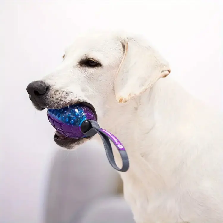 White Labrador holding a purple and blue GiGwi Push-to-Mute squeaky toy with strap, perfect for travel-friendly quiet play and interactive fetch