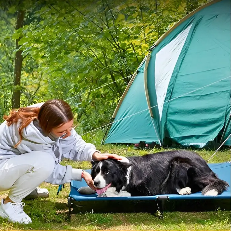 travel bed