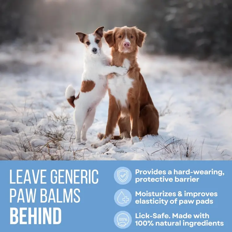 dog-paw-balm-winter-protection-natural-moisturizing